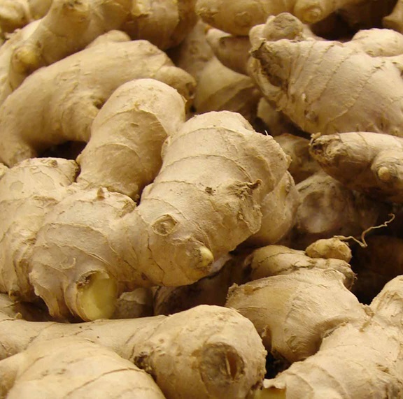 ginger1